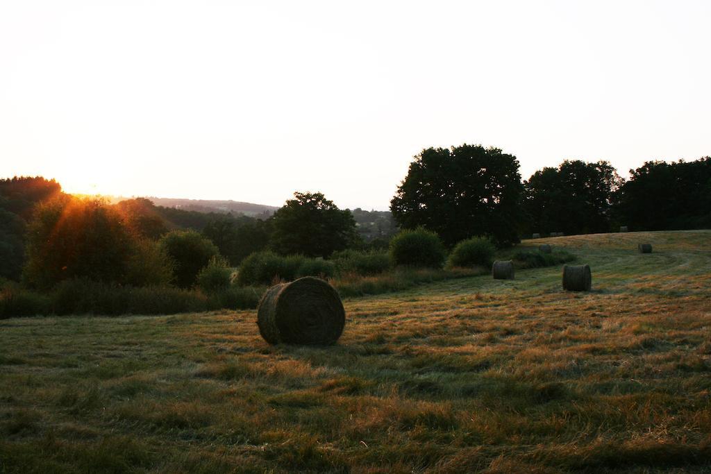 Domaine De Romefort Saint-Léonard-de-Noblat Quarto foto